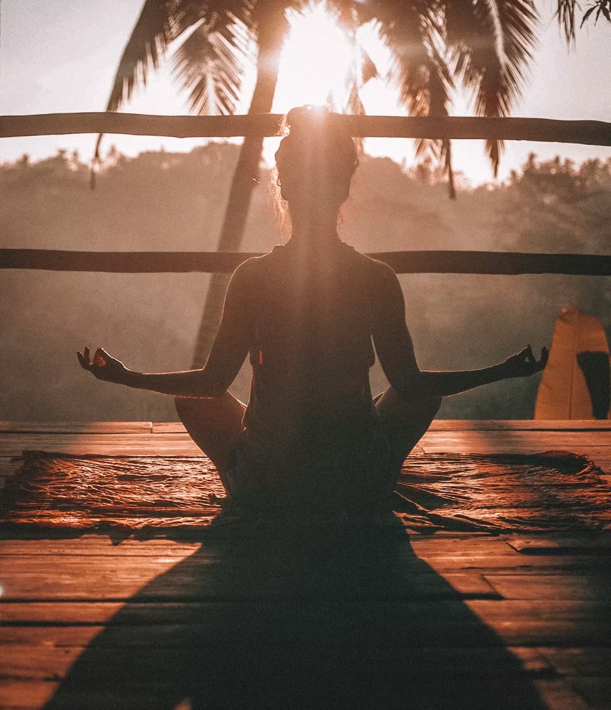 Mental wellness practices